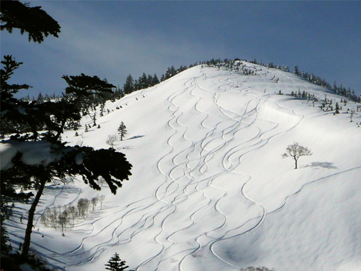 Kagura White Horse Inn Юзава Екстериор снимка